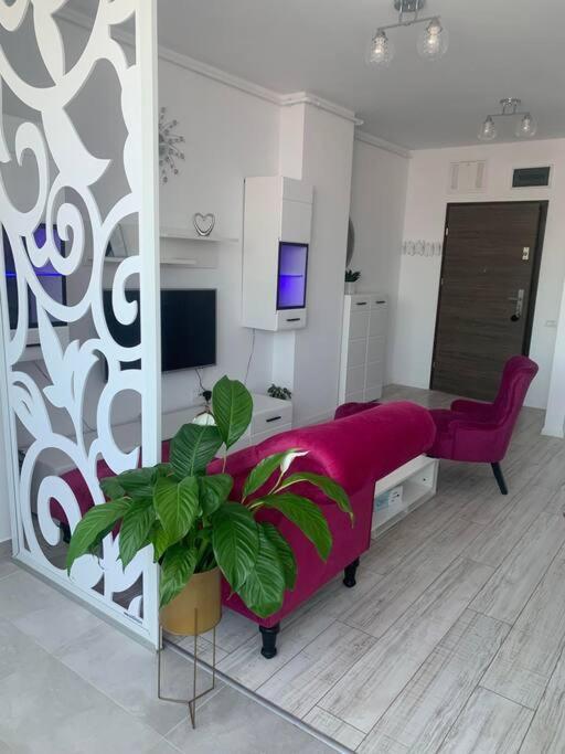 Cool Apartment 티미쇼아라 외부 사진