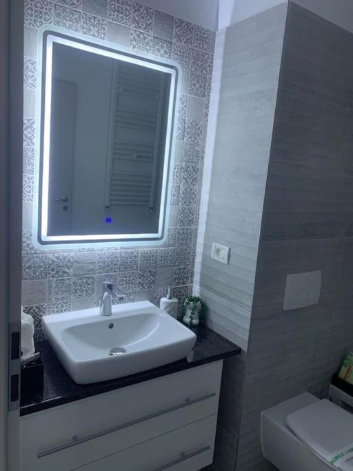 Cool Apartment 티미쇼아라 외부 사진
