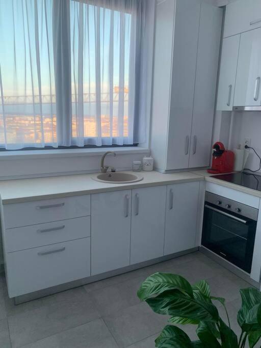 Cool Apartment 티미쇼아라 외부 사진